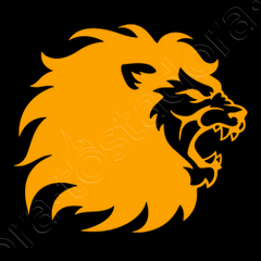 Version M